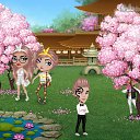 ���� Monty, ����, 80 ��� - ��������� 1 ������� 2019 � ������ ���� ����������