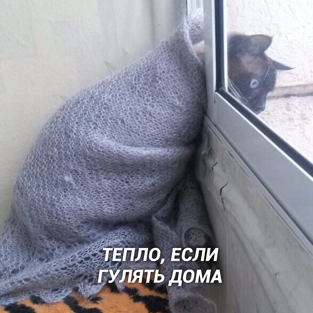  - o... - 5