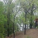 ���� �������, ������������ - ��������� 8 ������� 2019 � ������ �������� ��������