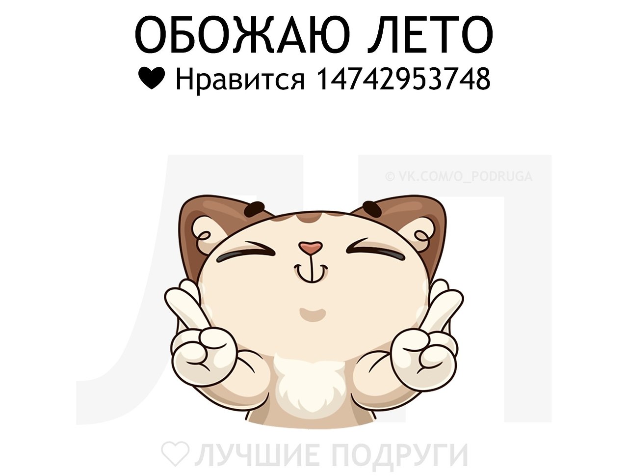   - 19  2019  03:38