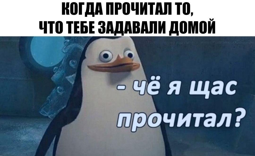   :D - 13  2019  05:17