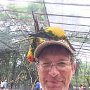 ���� ������, ��������, 54 ���� - ��������� 10 ������ 2019 � ������ ���� ����������