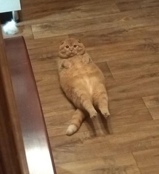    .    .