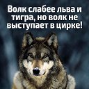 ���� ������, �������, 50 ��� - ��������� 23 �������� 2019 � ������ ���� ����������