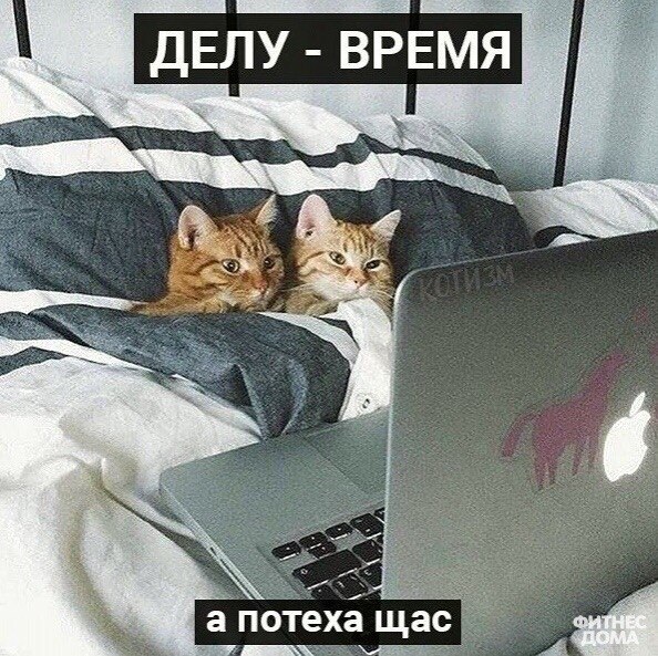 o���� ���� �o������� �a ���o���� ���� - 2