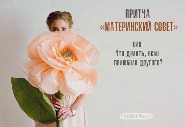 �������� ���� ������ � ������ � �������� � ��� ������. �������� ���� ������ � ������ � �������� � ...