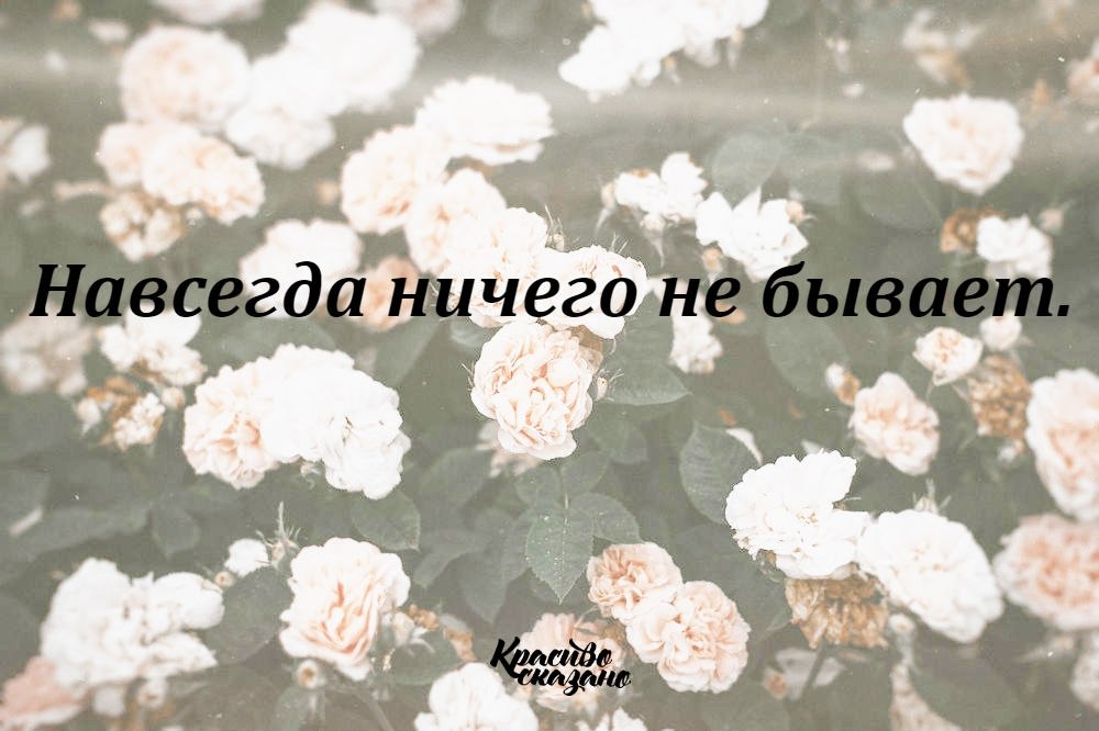   . . . - 25  2019  02:22