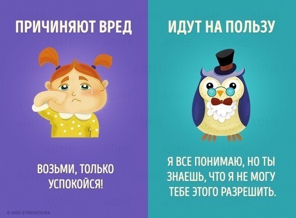  .    , ,    .   ... - 3