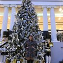 ���� ����, �����-��������� - ��������� 29 ������� 2019 � ������ ���� ����������
