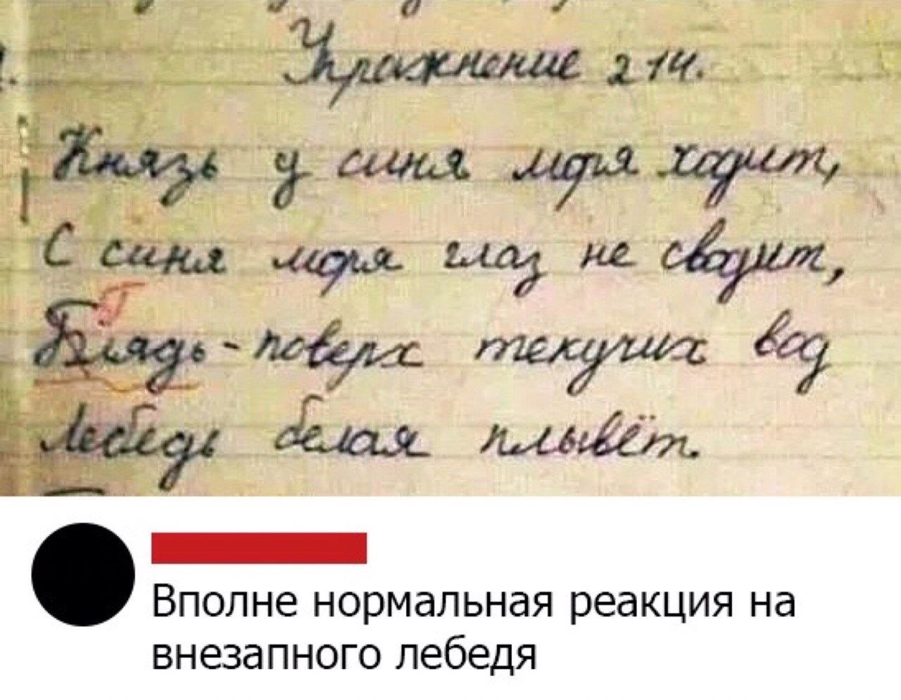 Ошибки в ответах феди