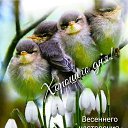 ���� Gera, ���������, 51 ��� - ��������� 1 ������ 2019 � ������ �������