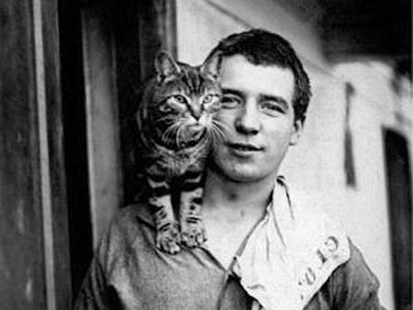 Памятник Миссис Чиппи.Бронзовая кошечка украшает могилу полярника, который привез первого кота в ...