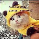 ���� �������, ���������, 64 ���� - ��������� 17 ������ 2019 � ������ ���� ����������