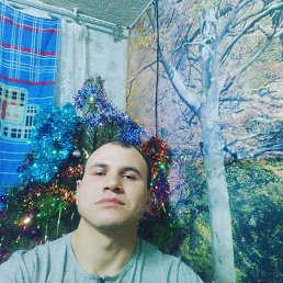 , 27,  