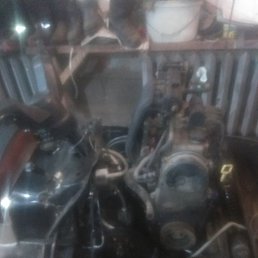 ���� Evgeniy, ������������, 59 ��� - ��������� 26 ������� 2019