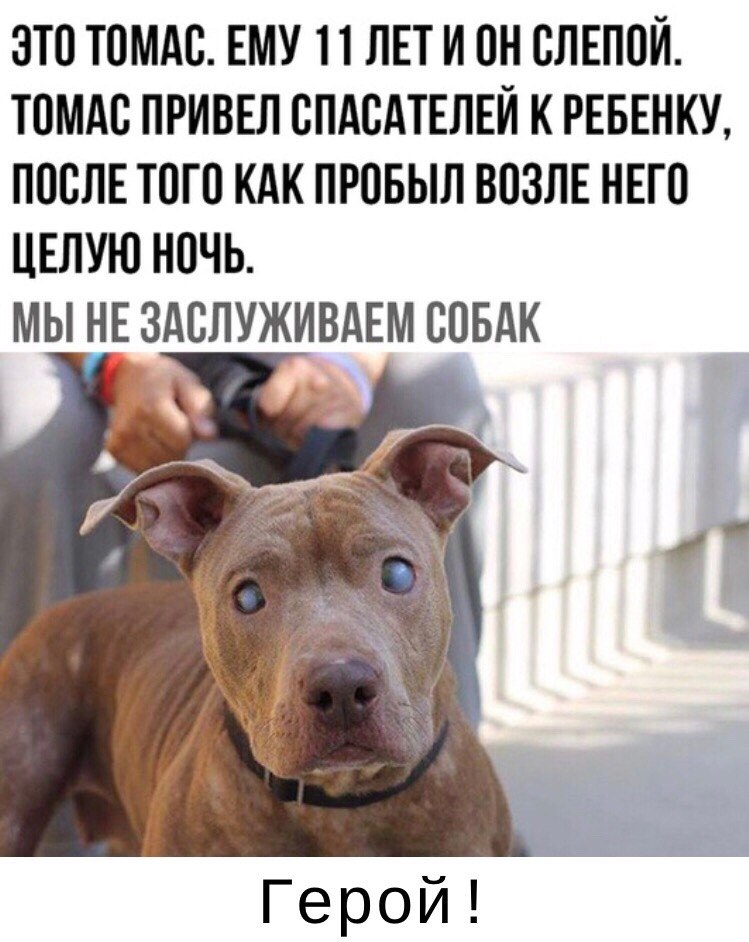  - 10  2019  03:35