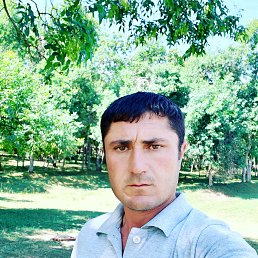 Kobra_084, ����, 45 ���