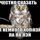 ���� �����, ������ - ��������� 20 ���� 2019 � ������ ���� ����������