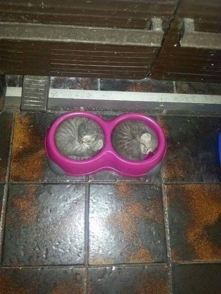   )