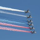 ���� ��������, ��������, 41 ��� - ��������� 11 ��� 2019 � ������ ���� ����������