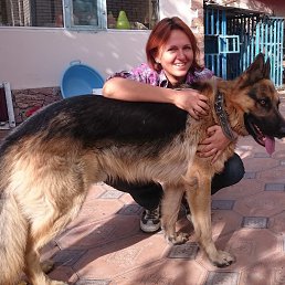 ����, �������, 40 ���