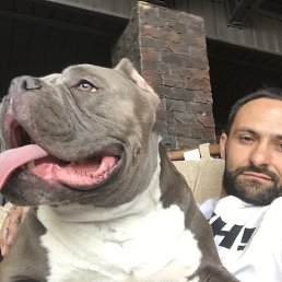 ���� �����, ������, 43 ���� - ��������� 23 ������� 2019