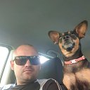 ���� �������, ����������, 43 ���� - ��������� 21 �������� 2019 � ������ ���� ����������