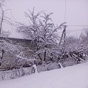 ���� ˳��, ����������� - ��������� 11 ������� 2019 � ������ ���� ����������