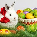 ���� Juli, ������ - ��������� 28 ������ 2019 � ������ ������ ��������