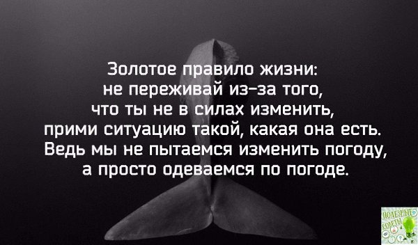   ! - 1  2019  19:33