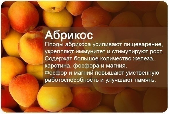   - 5