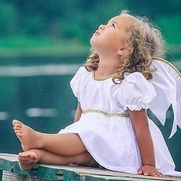 Megadecor, ��������, 55 ���