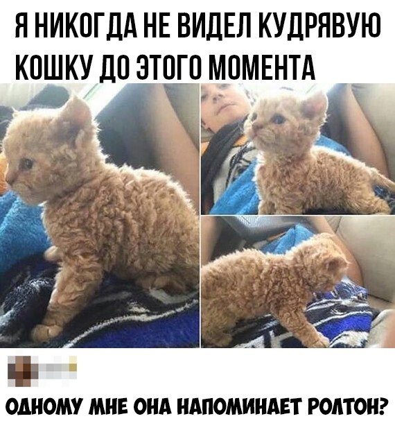    :D - 12  2019  19:24