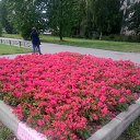  , -, 52  -  23  2019    