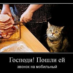 ���� ������, �������, 44 ���� - ��������� 4 ������ 2019