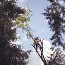 ���� �����, �����, 31 ��� - ��������� 25 �������� 2019 � ������ ���� ����������