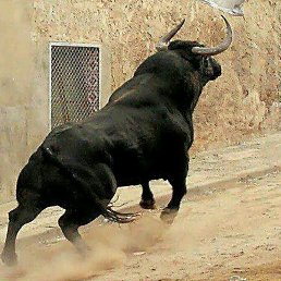 ������, ������, 46 ���