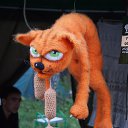 ���� �������, ���������, 49 ��� - ��������� 23 ���� 2019 � ������ ��������-2019�