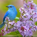 ���� ����, ����� - ��������� 26 ���� 2019 � ������ ���� ����������