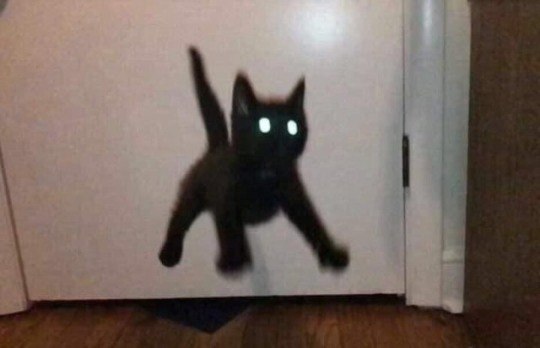 oo o - 2