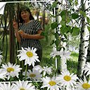 ���� ������, ����������, 66 ��� - ��������� 7 ���� 2019