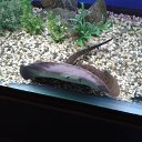 ���� �������, �������, 41 ��� - ��������� 11 ������� 2019 � ������ ���� ����������