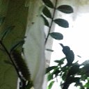 ���� �����, �����������, 56 ��� - ��������� 7 ���� 2019 � ������ ������ ��������