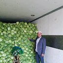 ���� ������, �����������, 48 ��� - ��������� 18 ���� 2019