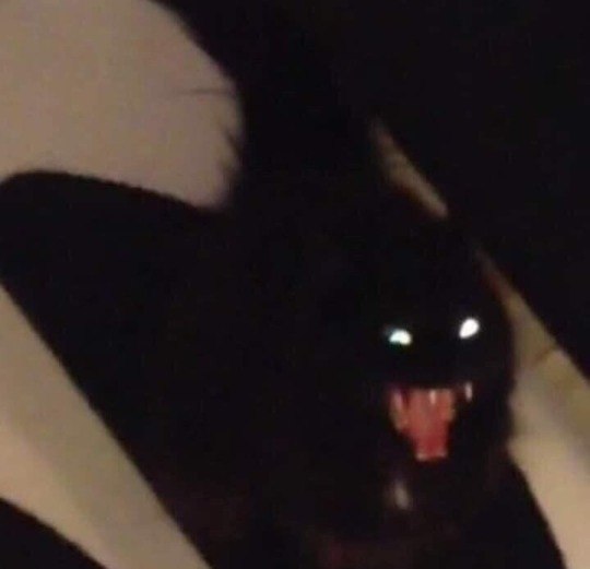 oo o - 6