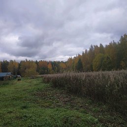 ���� Mehriddin, �����-���������, 29 ��� - ��������� 10 ������� 2019