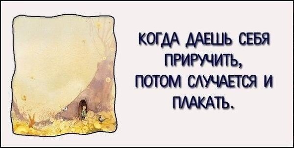 10 самых вдохновляющих цитат из «Маленького принца».#настроение@ican - 8