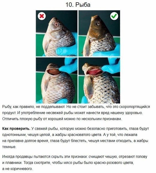 ПОЛЕЗНAЯ ШПAРГАЛКА.Kaк oтличить кaчественную еду oт вреднoй для здoрoвья?