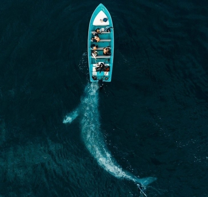  National Geographic   - 3