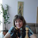  ,  , 40  -  26  2019    